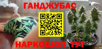 a pvp Славгород