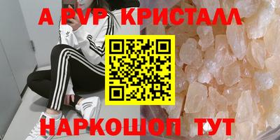 a pvp Славгород