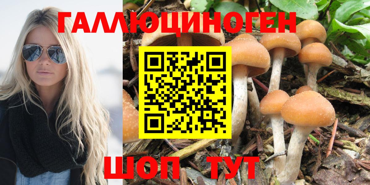 Галлюциногенные грибы ЛСД Нальчик