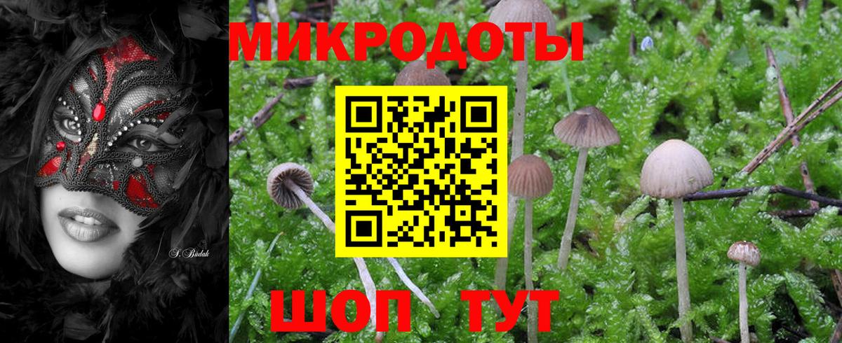 Галлюциногенные грибы Psilocybe  Вход с VPN  Нальчик 